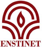 ENSTINET Logo